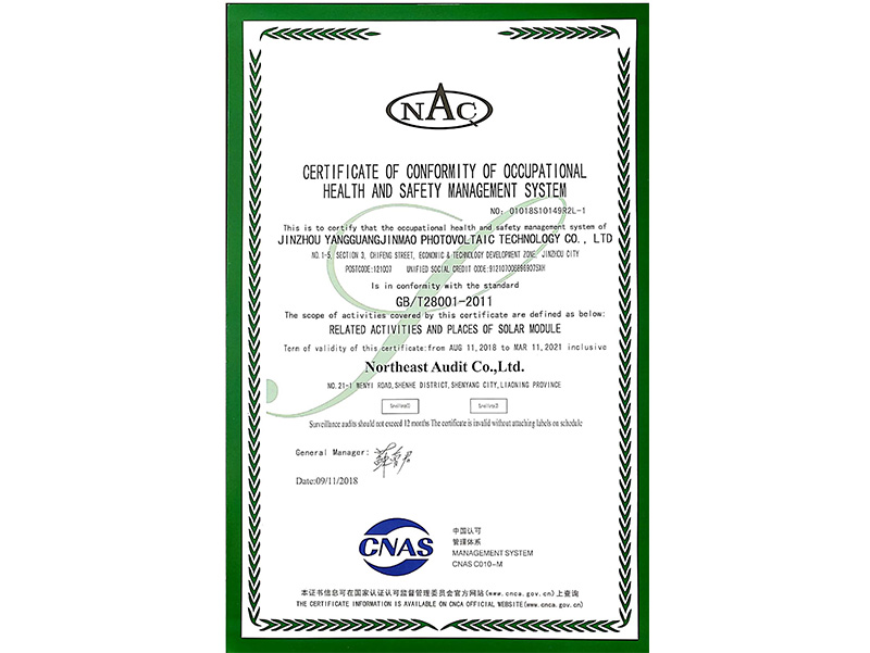 職業(yè)健康安全管理體系認證證書（英文）