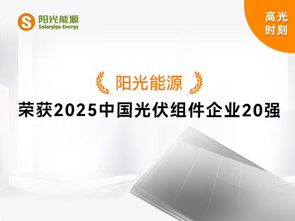 高光時刻 | 陽光能源實(shí)力登榜“2025中國光伏組件企業(yè)20強(qiáng)”